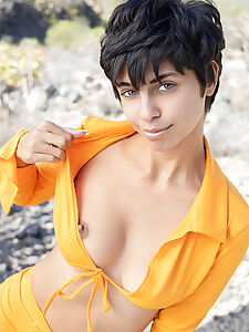 tora presenting photo