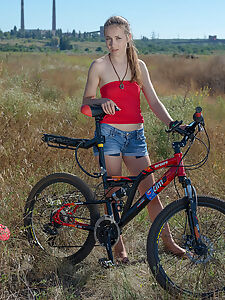 hrizantema stanislav photo