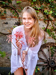 temptation sheer photo